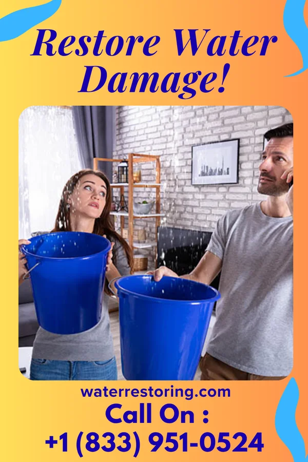 water restoration Zenith Water Damage Inc Lac du Flambeau